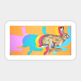 Rabbit Sticker